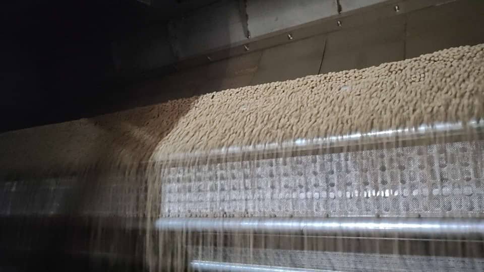 Feed Processing & Sieving